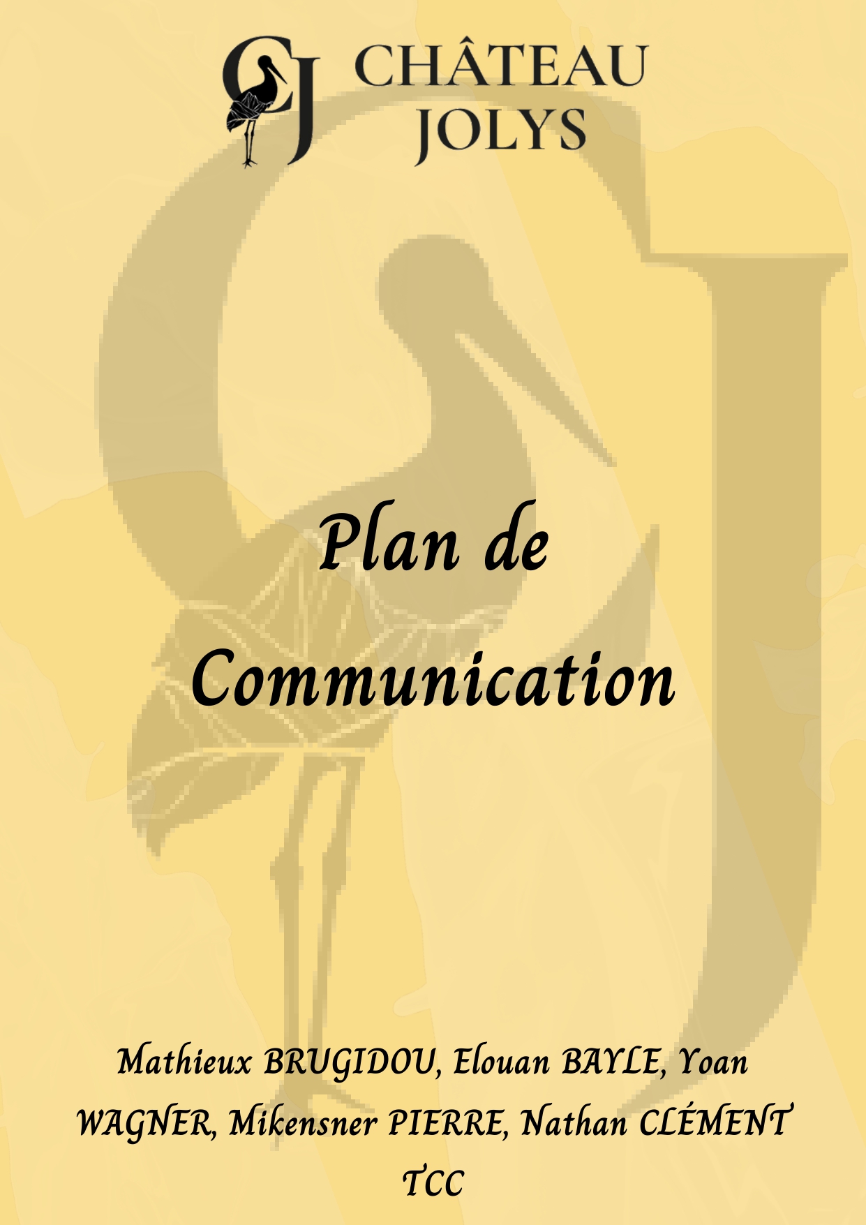 Plan de Communication_page-0001